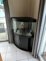 Juwel Trigon 350 L